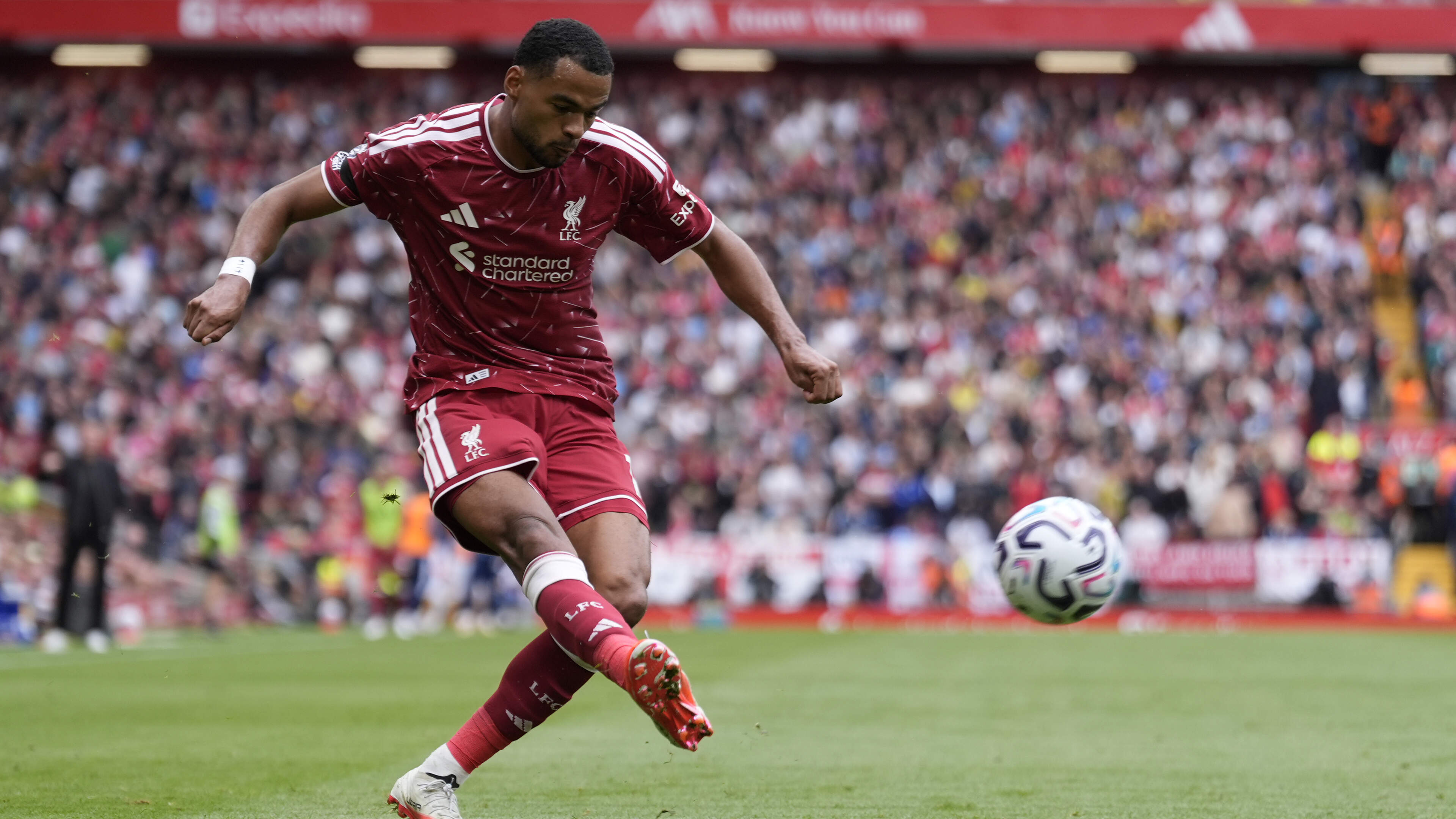 ‘The summer was very tough regarding everything’ – Liverpool’s Cody Gakpo